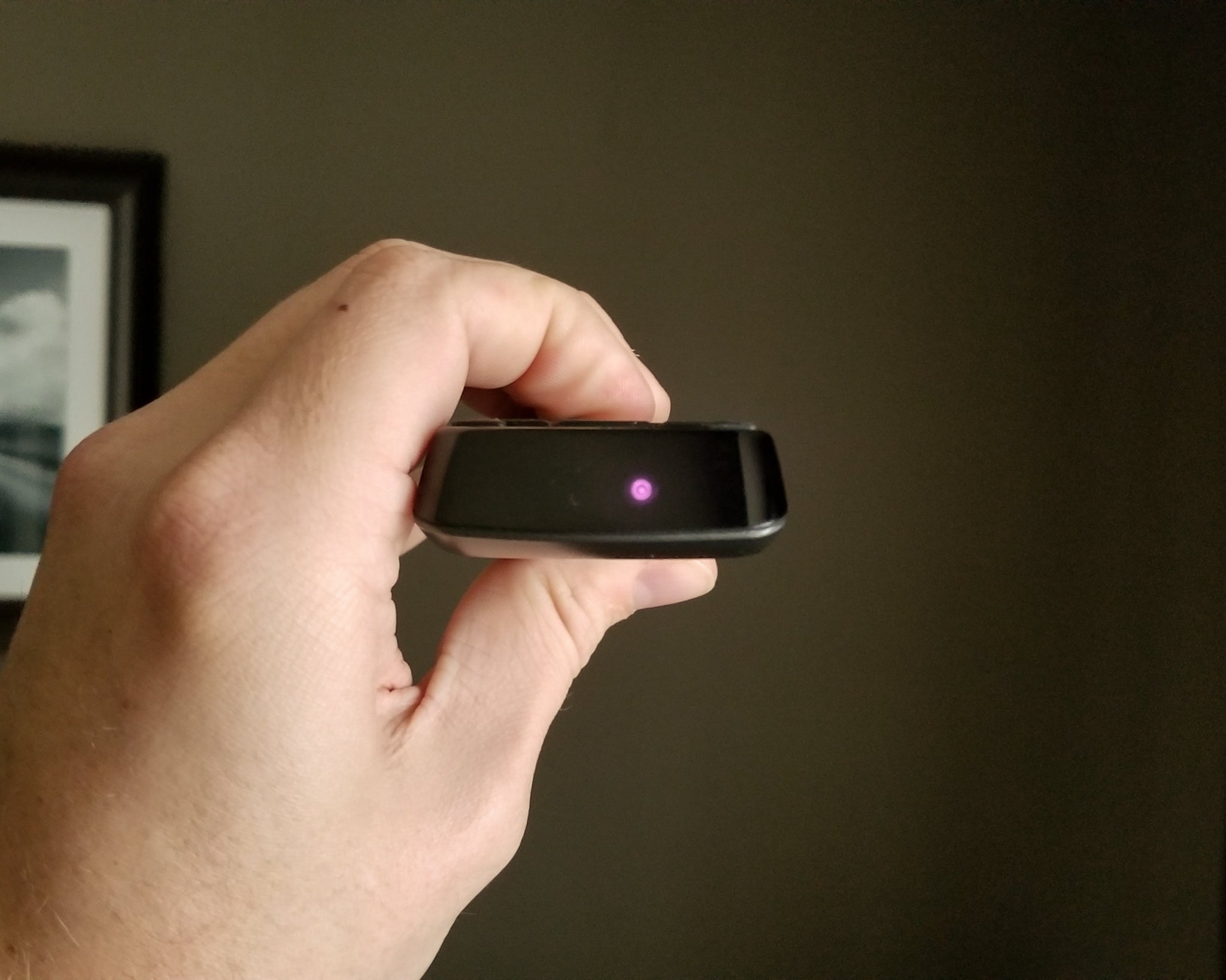 Beginner's Guide to Infrared Photography