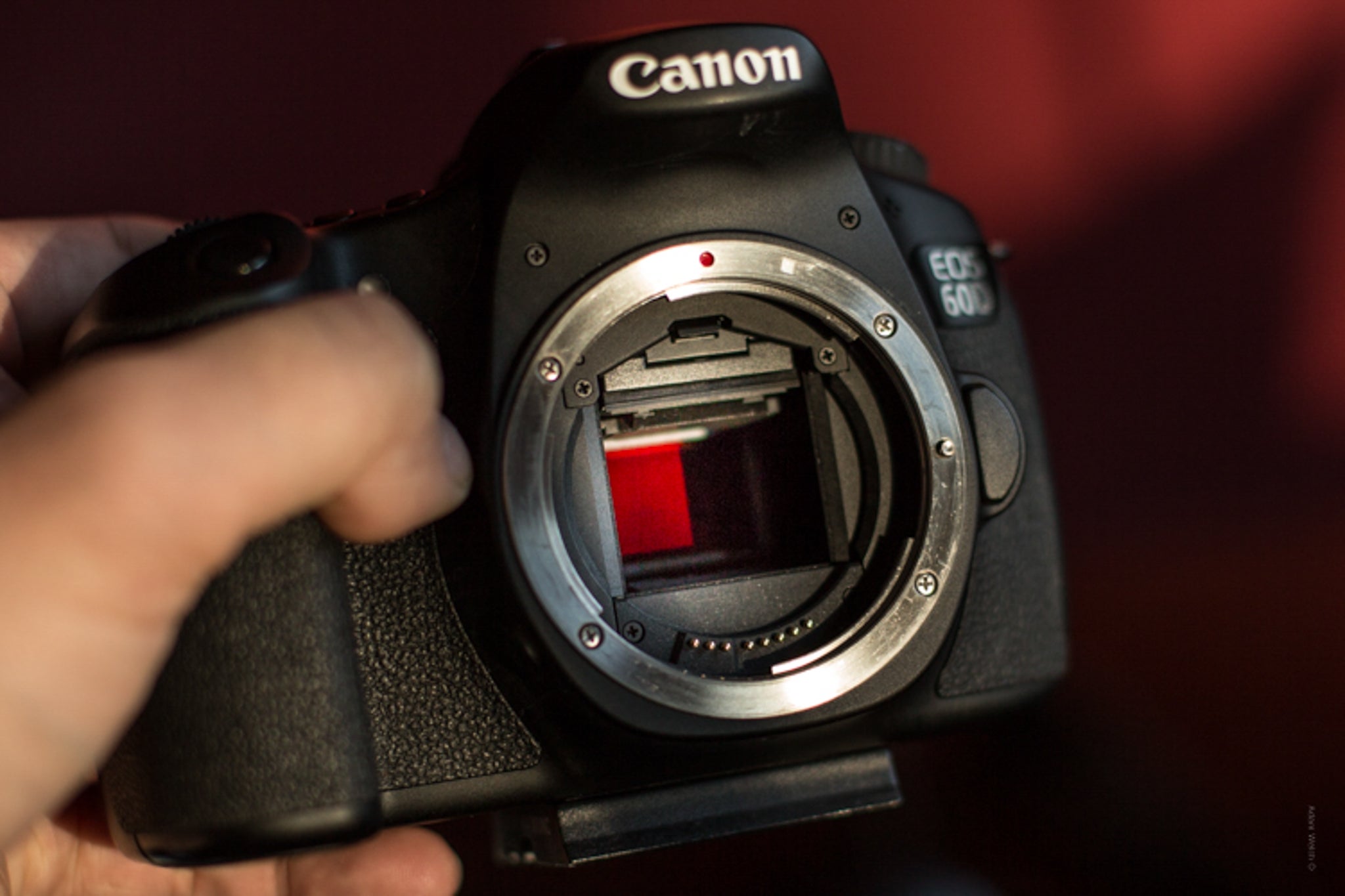 Beginner's Guide to Infrared Photography