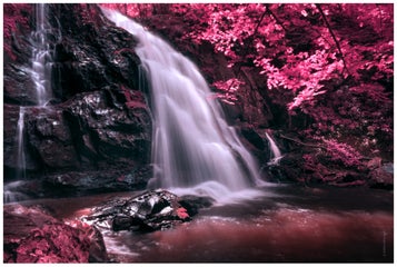 Beginner's Guide to Infrared Photography