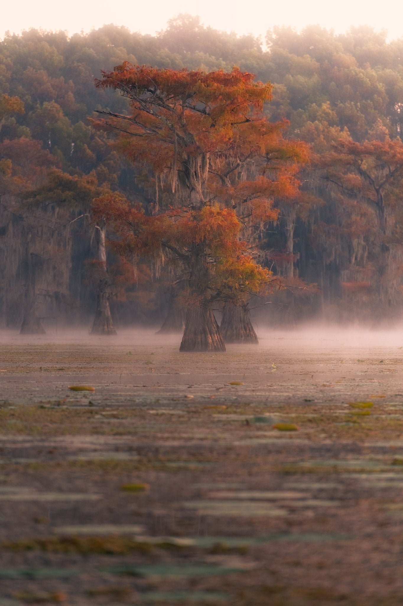 Interview with Mike Mezeul II