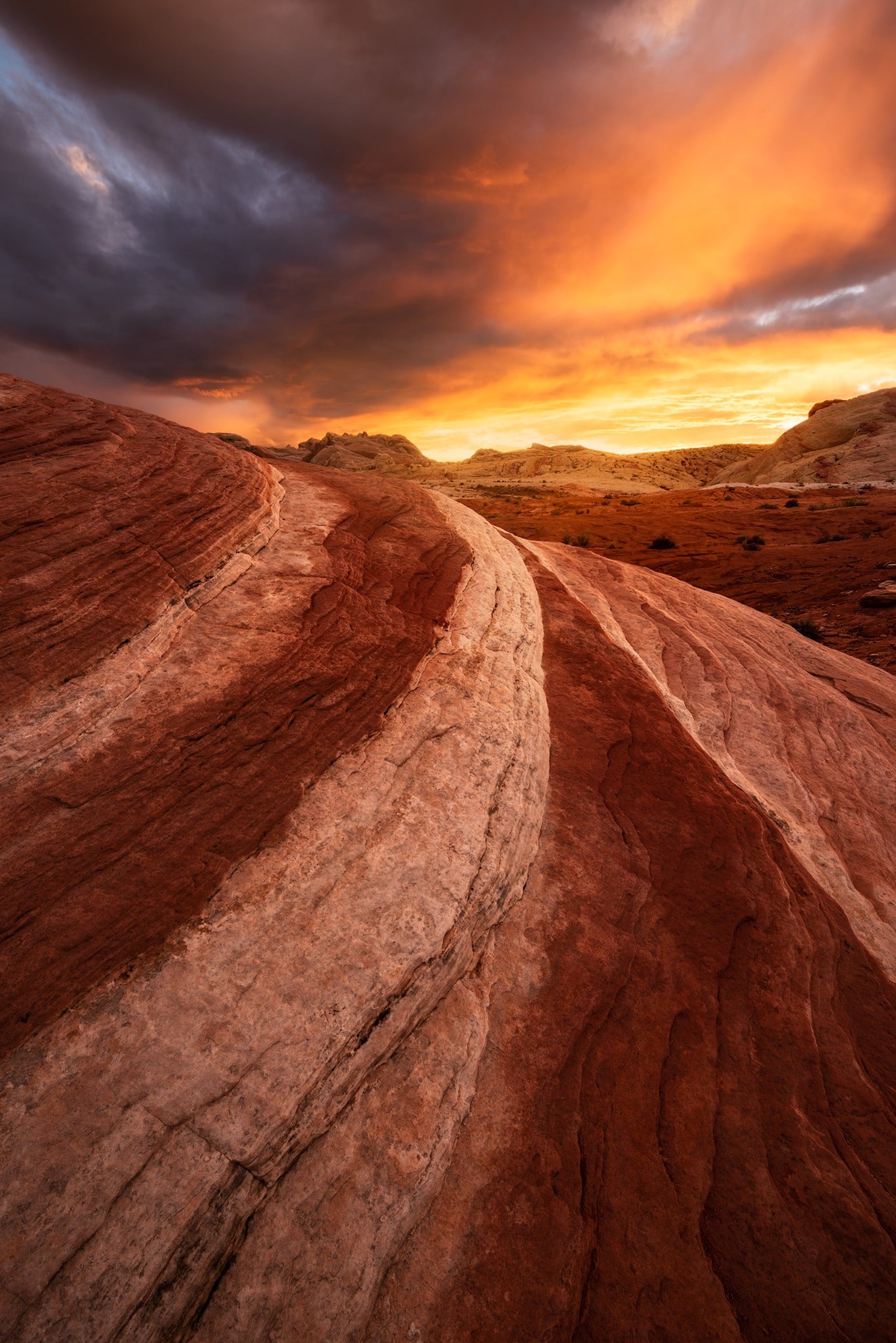 Interview with Mike Mezeul II