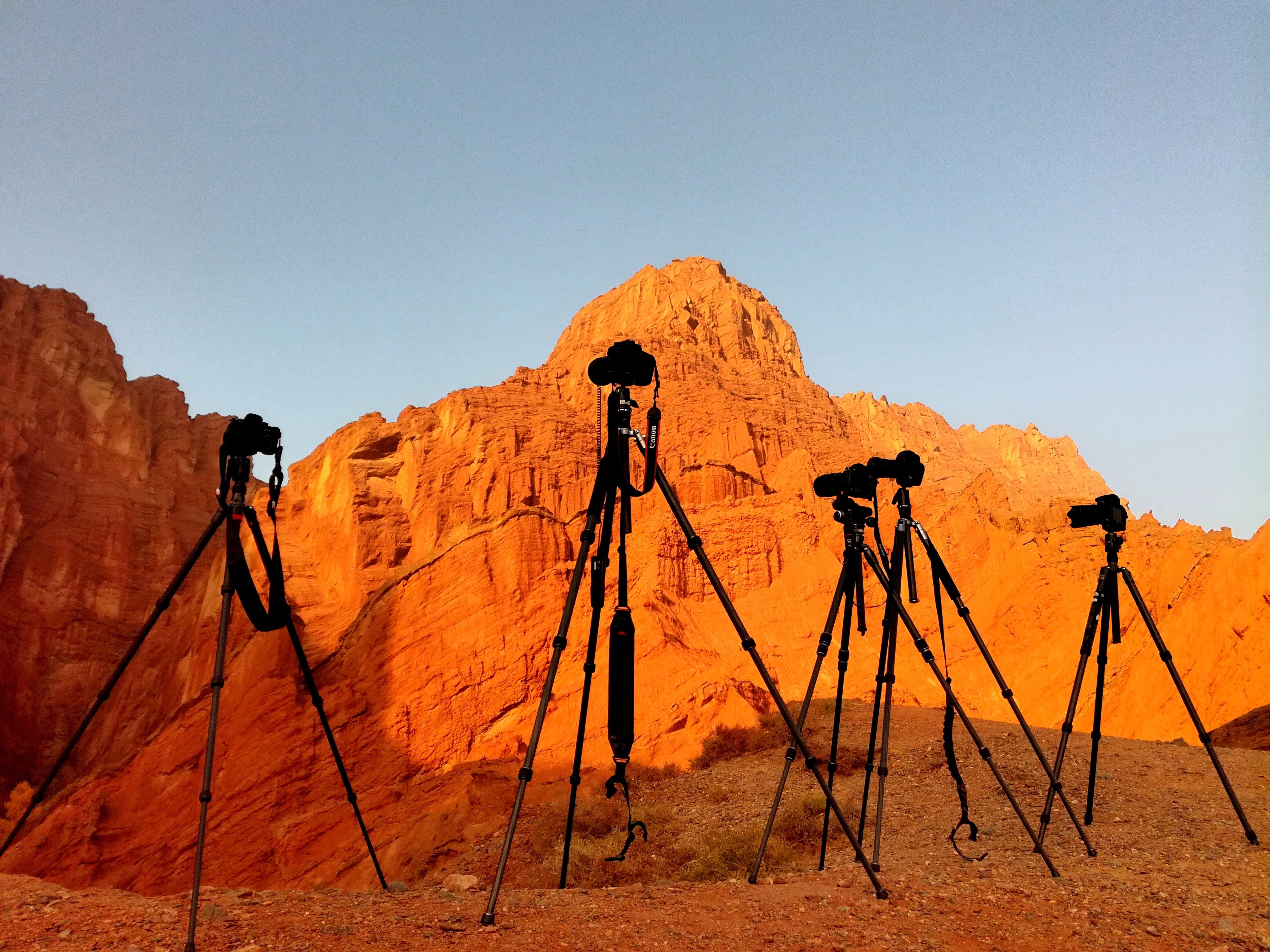 Best Tripods for Photography
