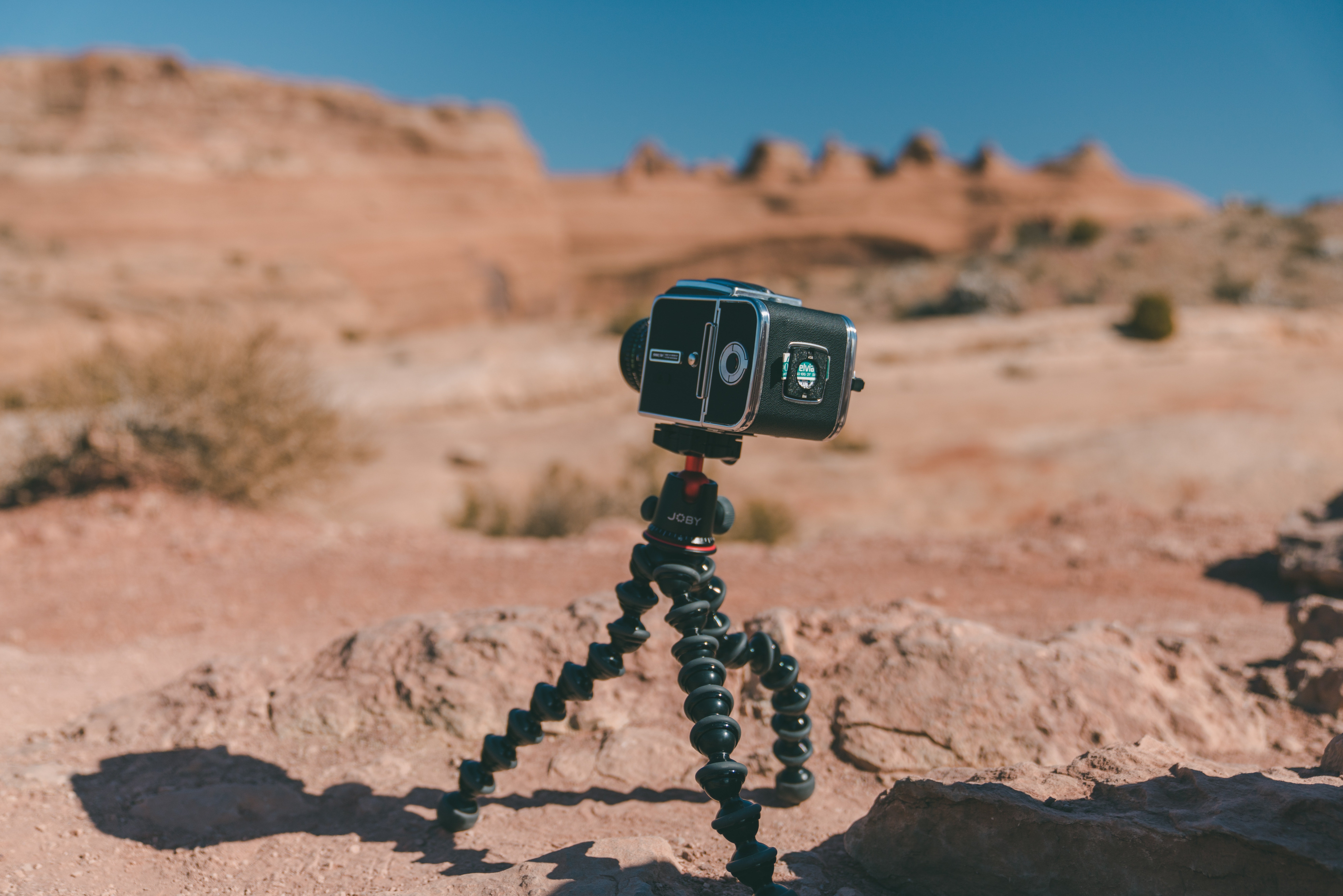 Best Tripods for Photography