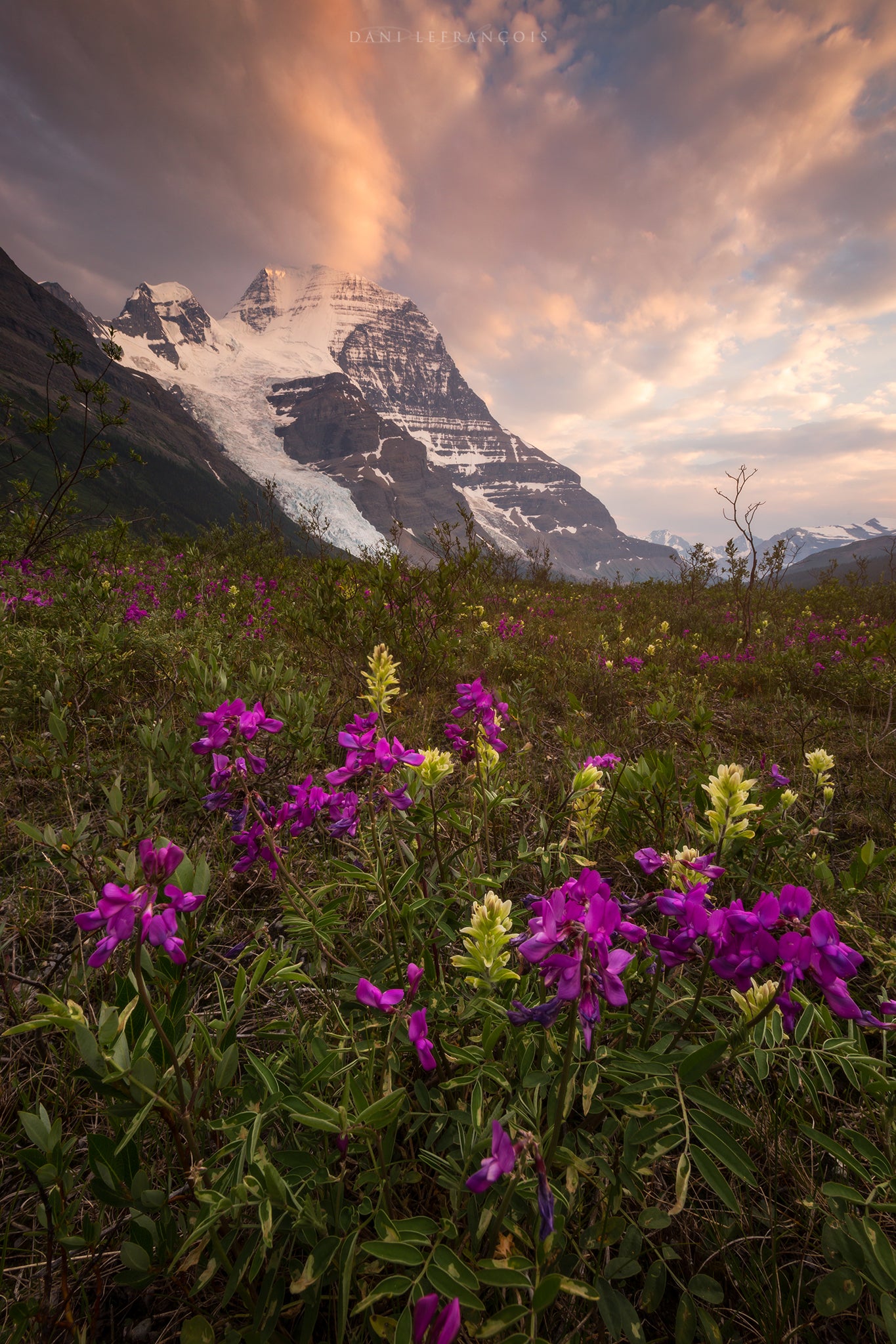 Interview with Dani Lefran&ccedil;ois