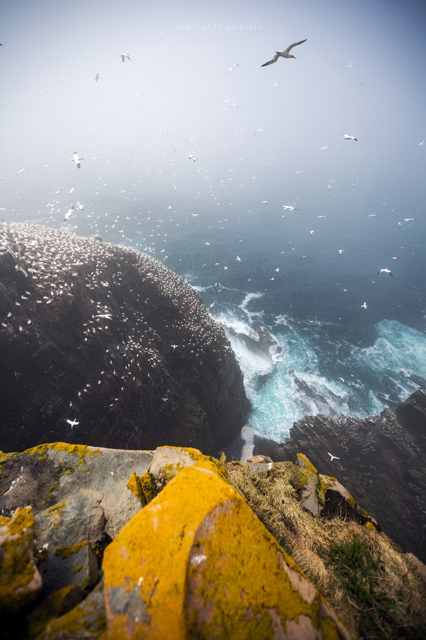 Interview with Dani Lefran&ccedil;ois