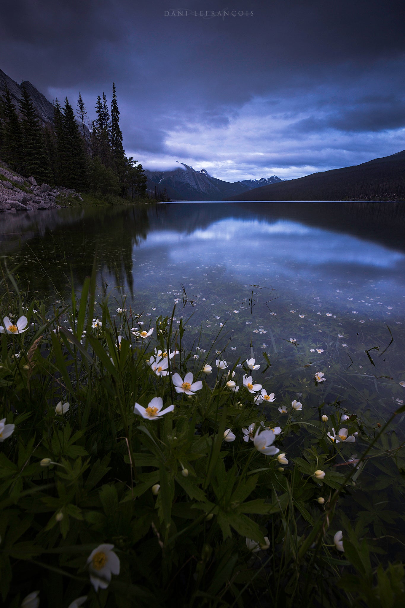 Interview with Dani Lefran&ccedil;ois