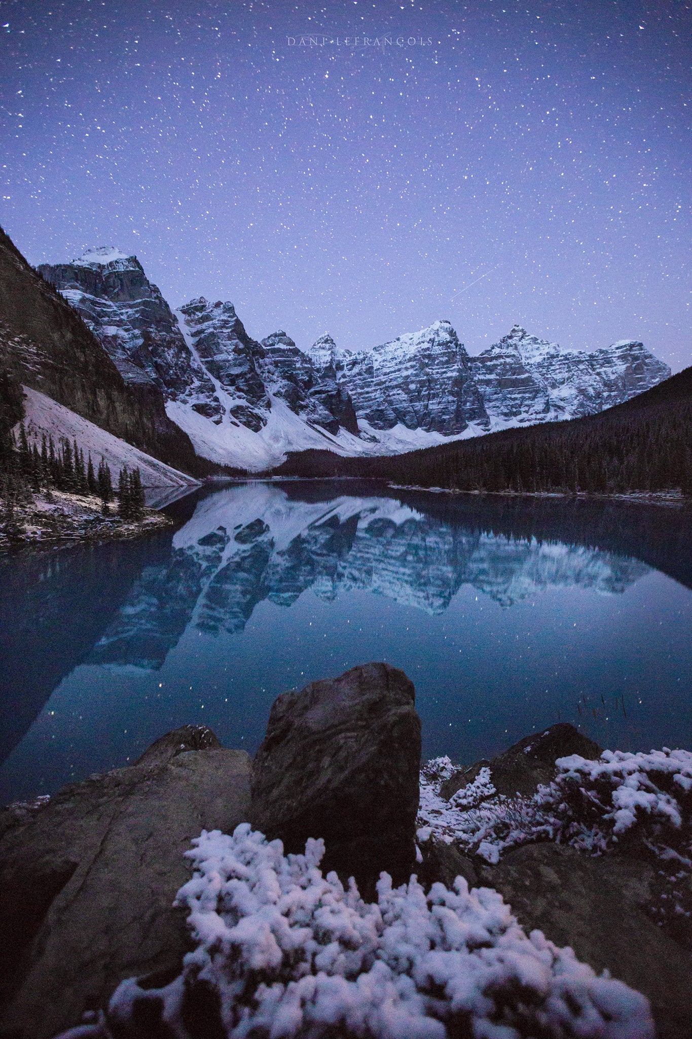 Interview with Dani Lefran&ccedil;ois