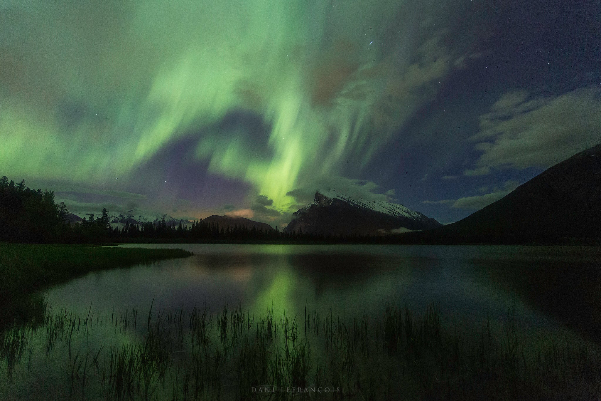 Interview with Dani Lefran&ccedil;ois