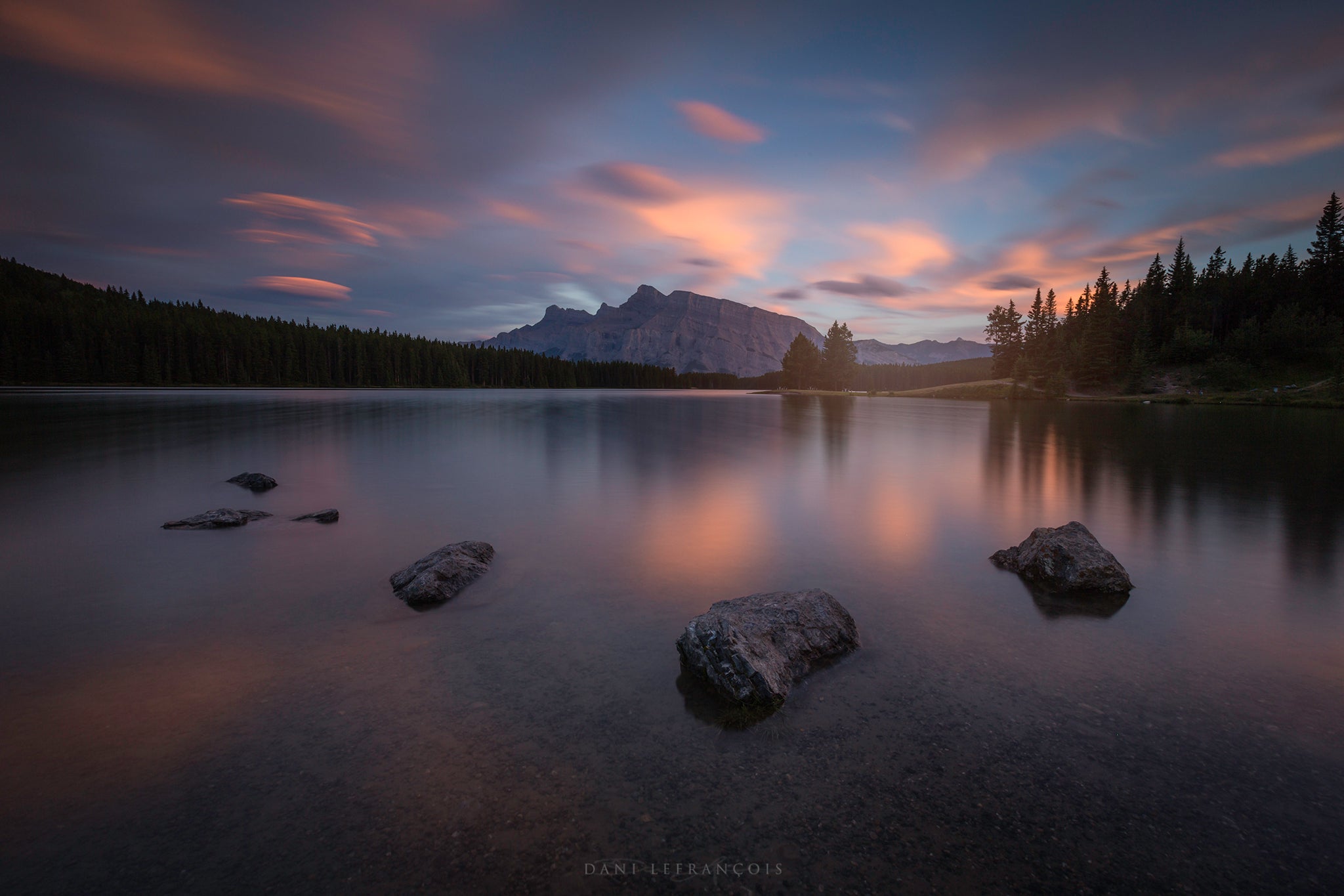 Interview with Dani Lefran&ccedil;ois