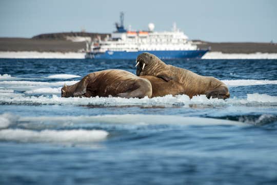Franz Josef Land Photography Expedition