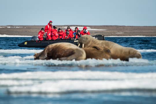 Franz Josef Land Photography Expedition