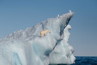 Franz Josef Land Photography Expedition