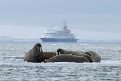 Franz Josef Land Photography Expedition - day 14