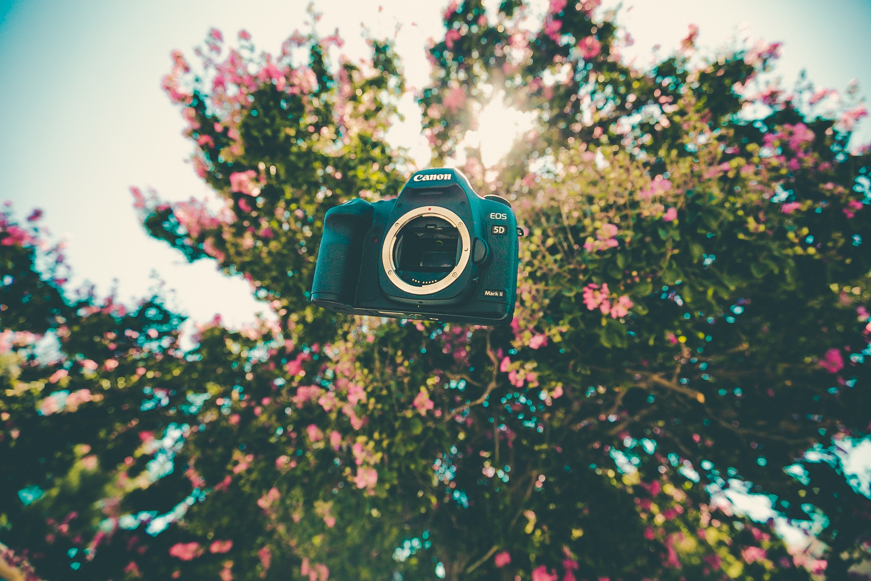 A camera floats with a tree in the background&nbsp; | DSLR Accessories
