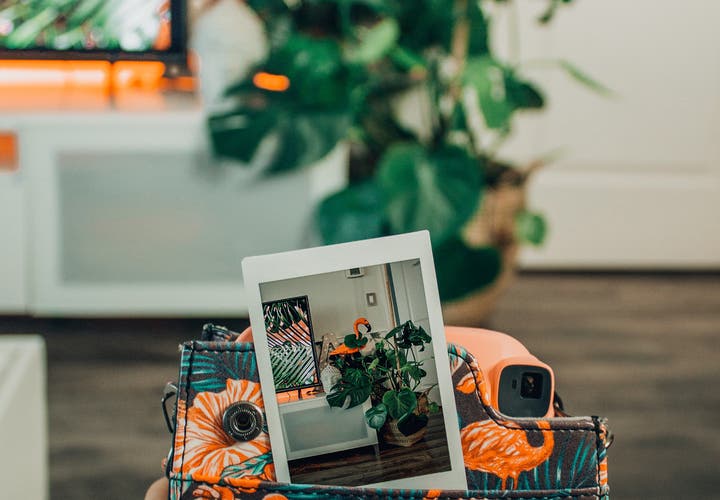 Film is Not Dead: Where to Buy Film Online