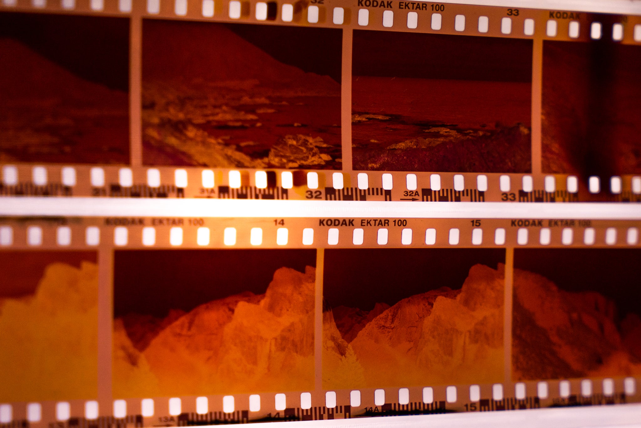 Photo developing hotsell