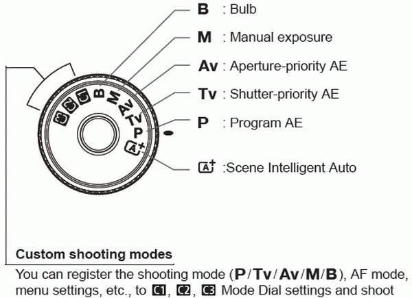 Beginner's Guide to Camera Settings