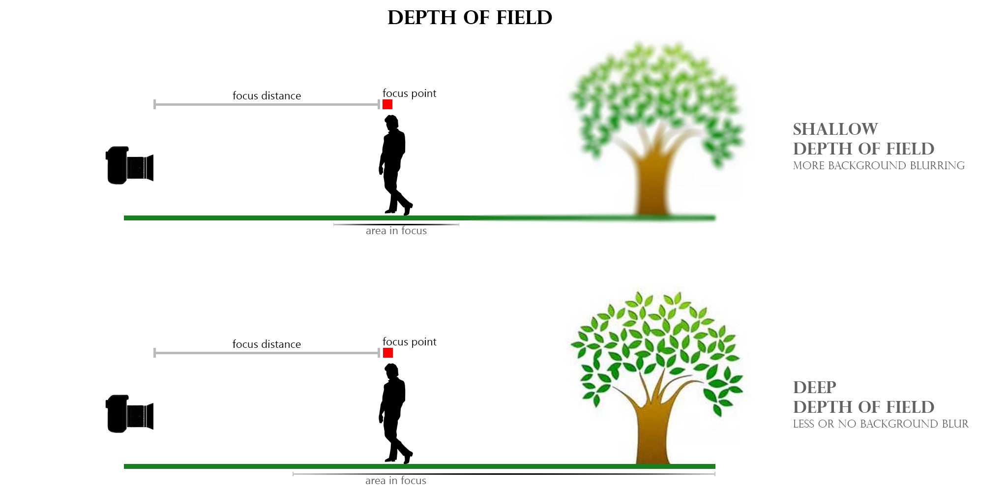 Beginner's Guide to Camera Settings