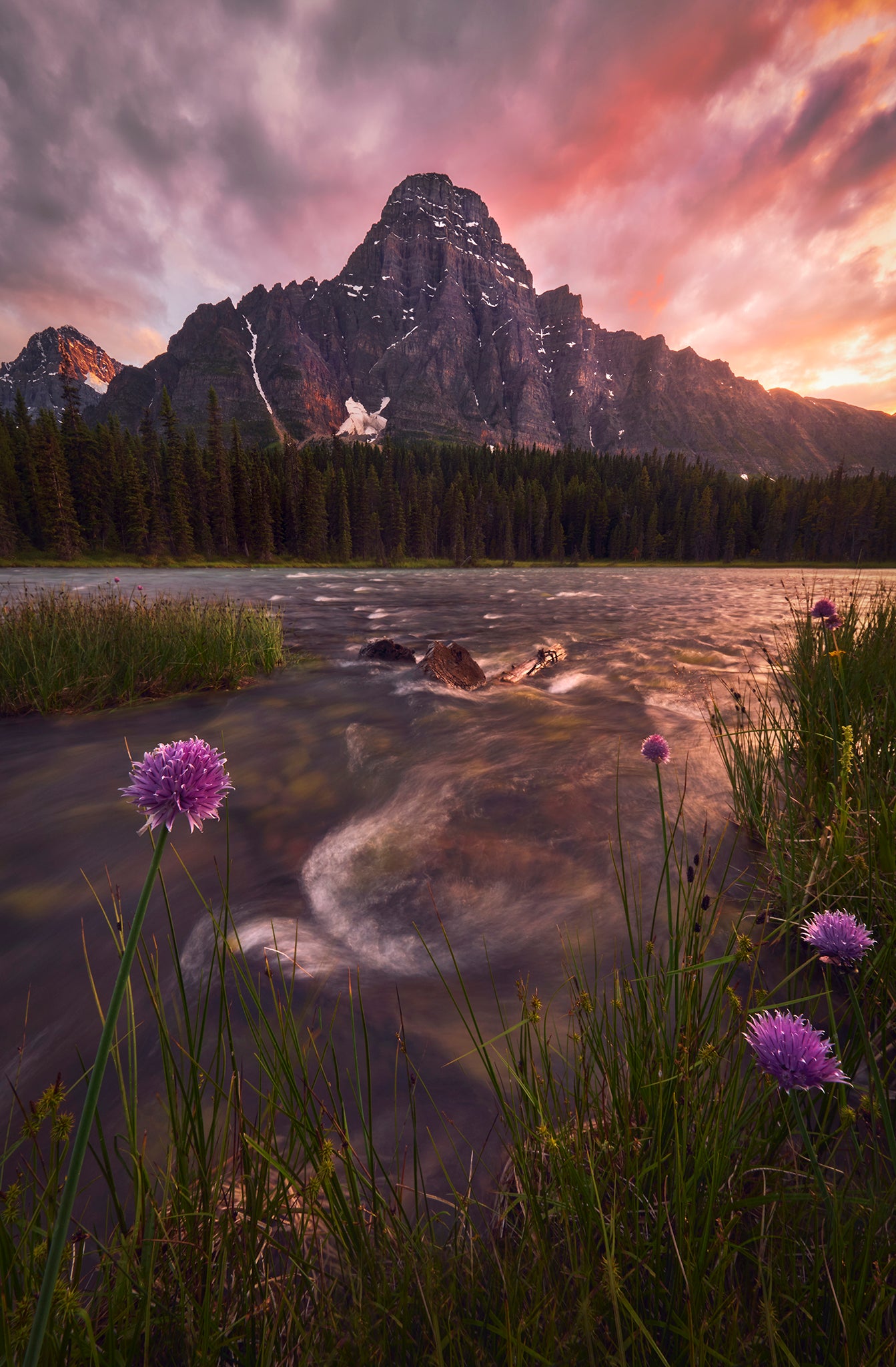 Interview with Jess Santos