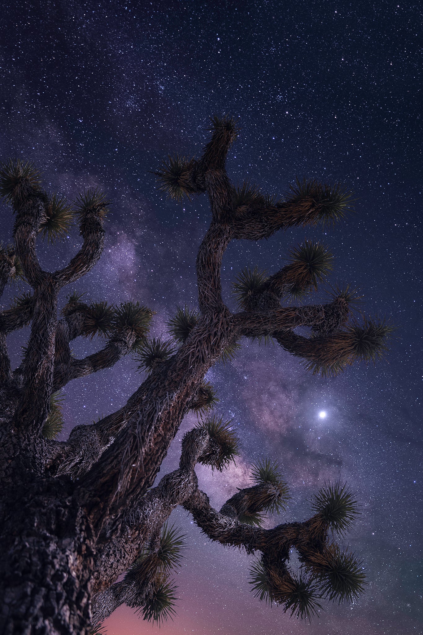 Interview with Jess Santos