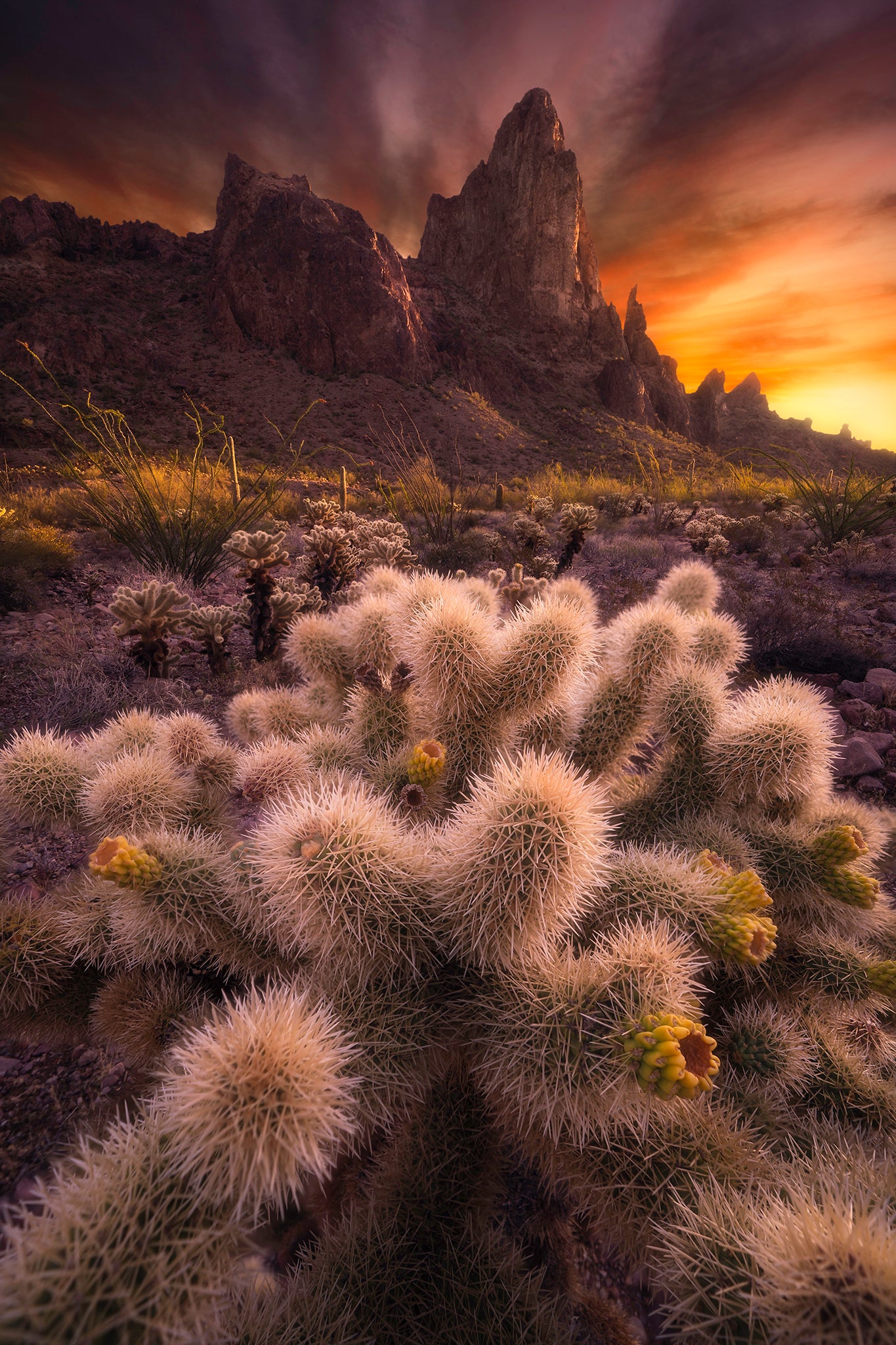 Interview with Jess Santos