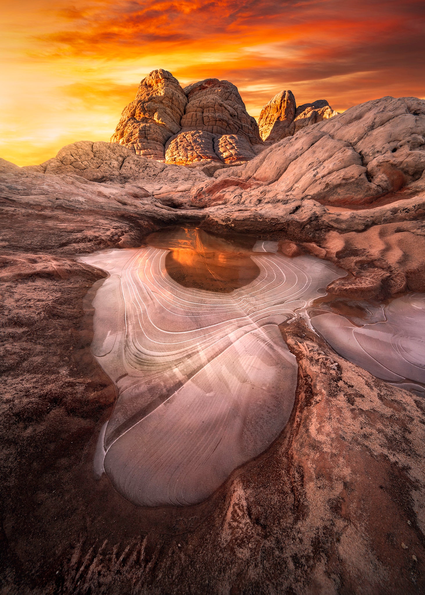 Interview with Jess Santos