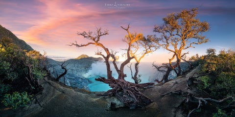 Interview with Fabio Antenore