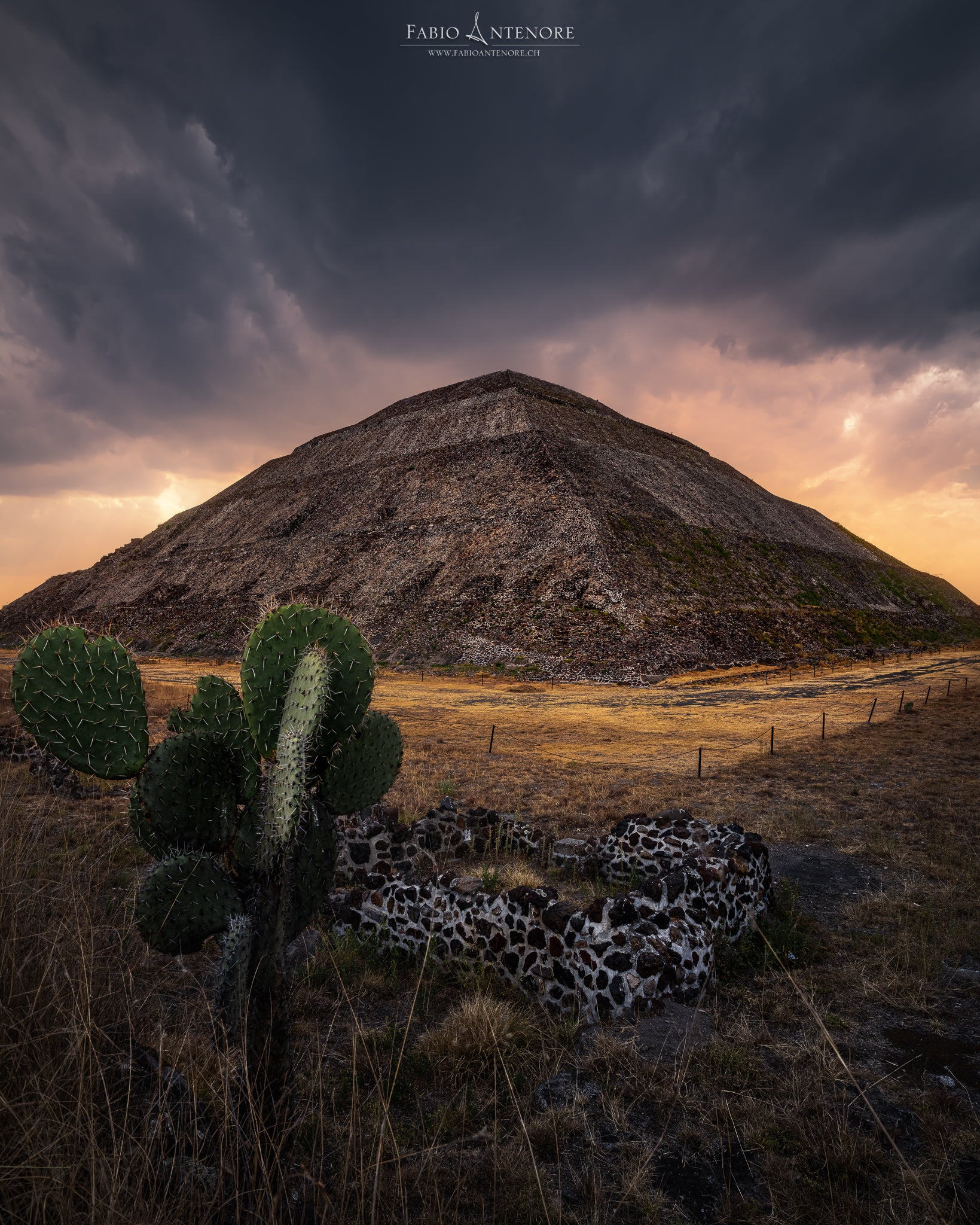 Interview with Fabio Antenore