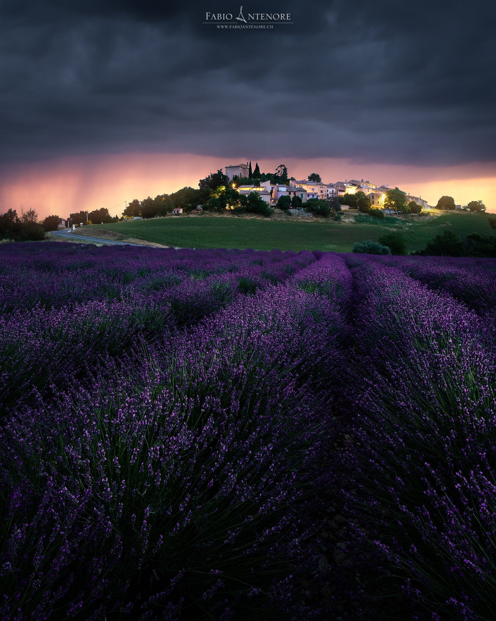 Interview with Fabio Antenore