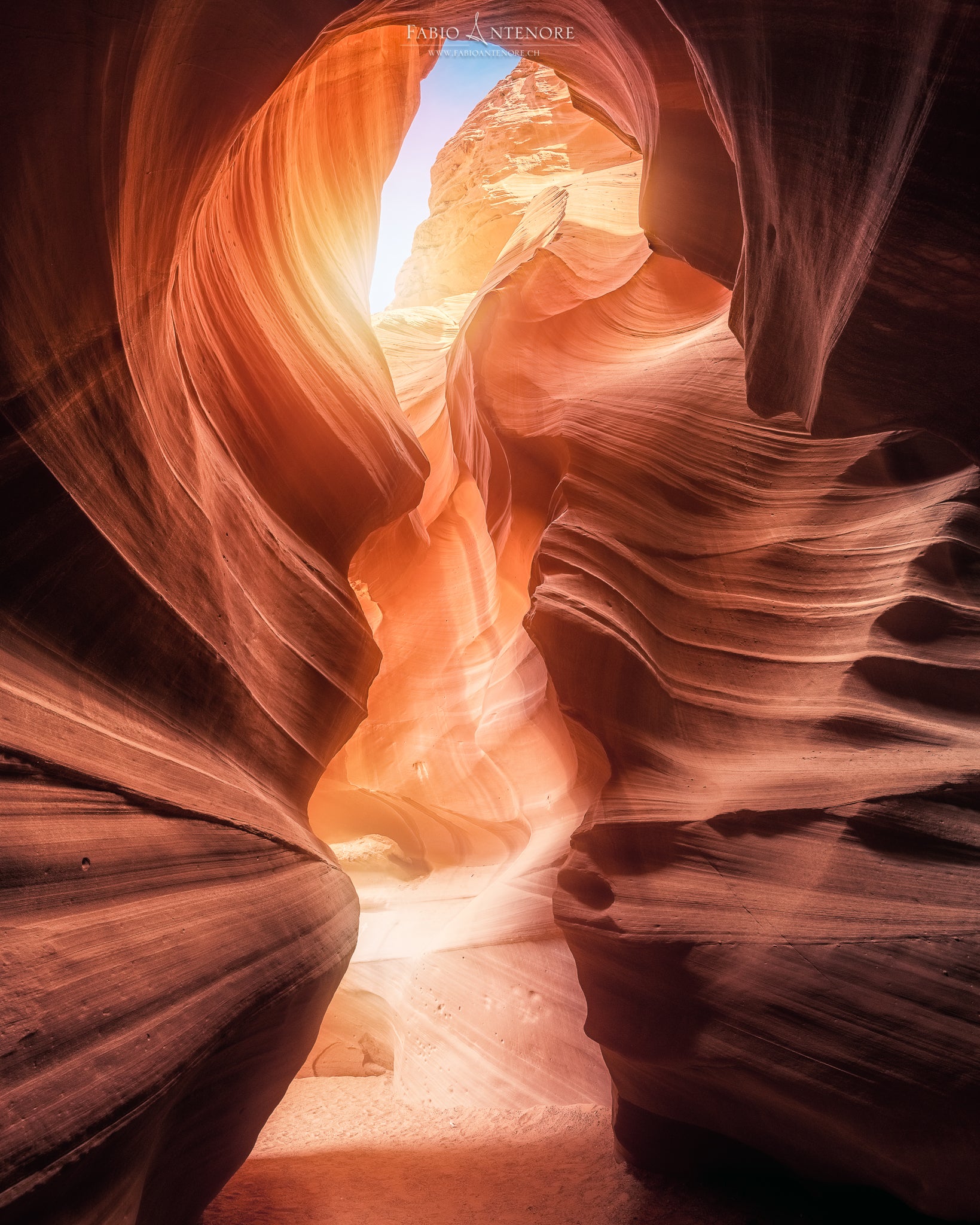 Interview with Fabio Antenore