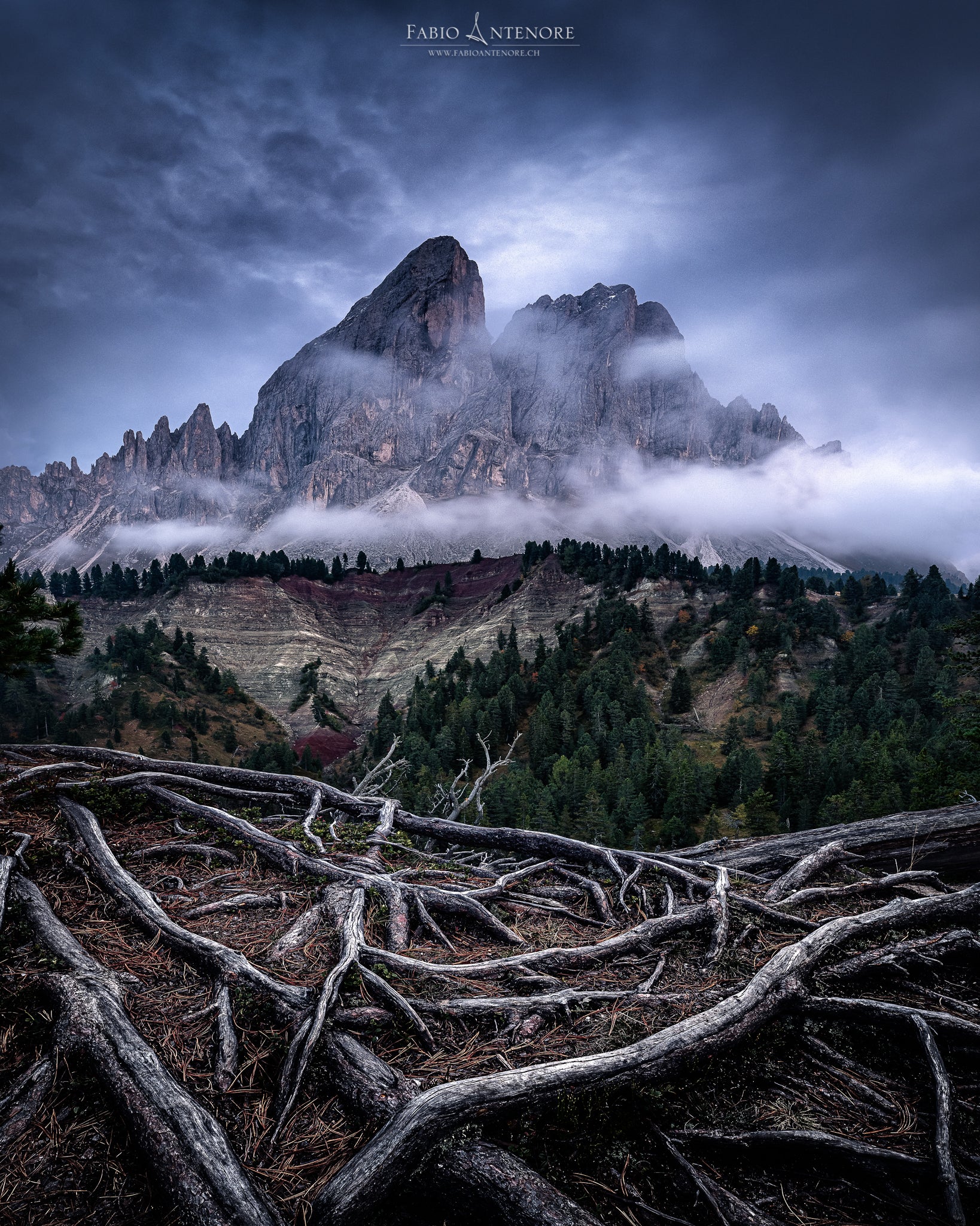 Interview with Fabio Antenore