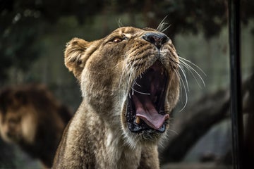 When to Use a Narrow or Wide Aperture for Photography