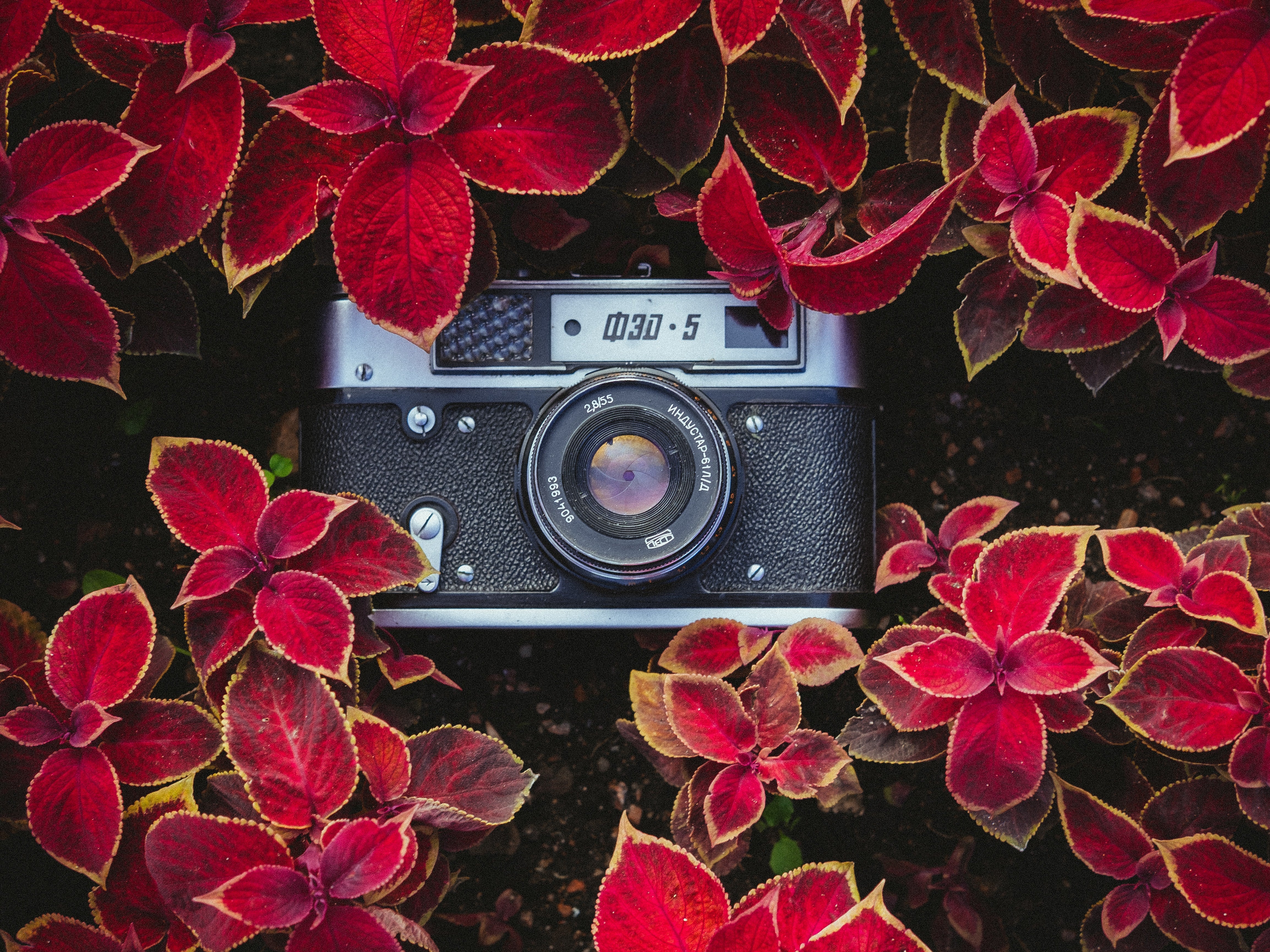 roman-trifonov-EZFLavf2Za8-unsplash.jpg