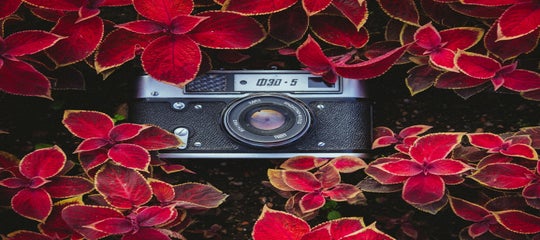 roman-trifonov-EZFLavf2Za8-unsplash.jpg