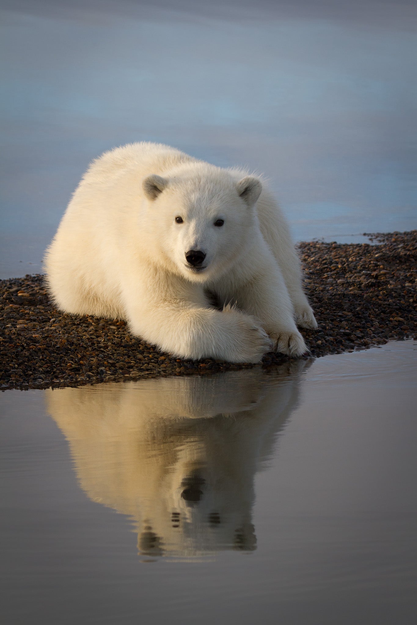 Interview with David Swindler