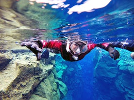 Drysuit-Schnorcheln in Silfra | zwischen den Kontinenten