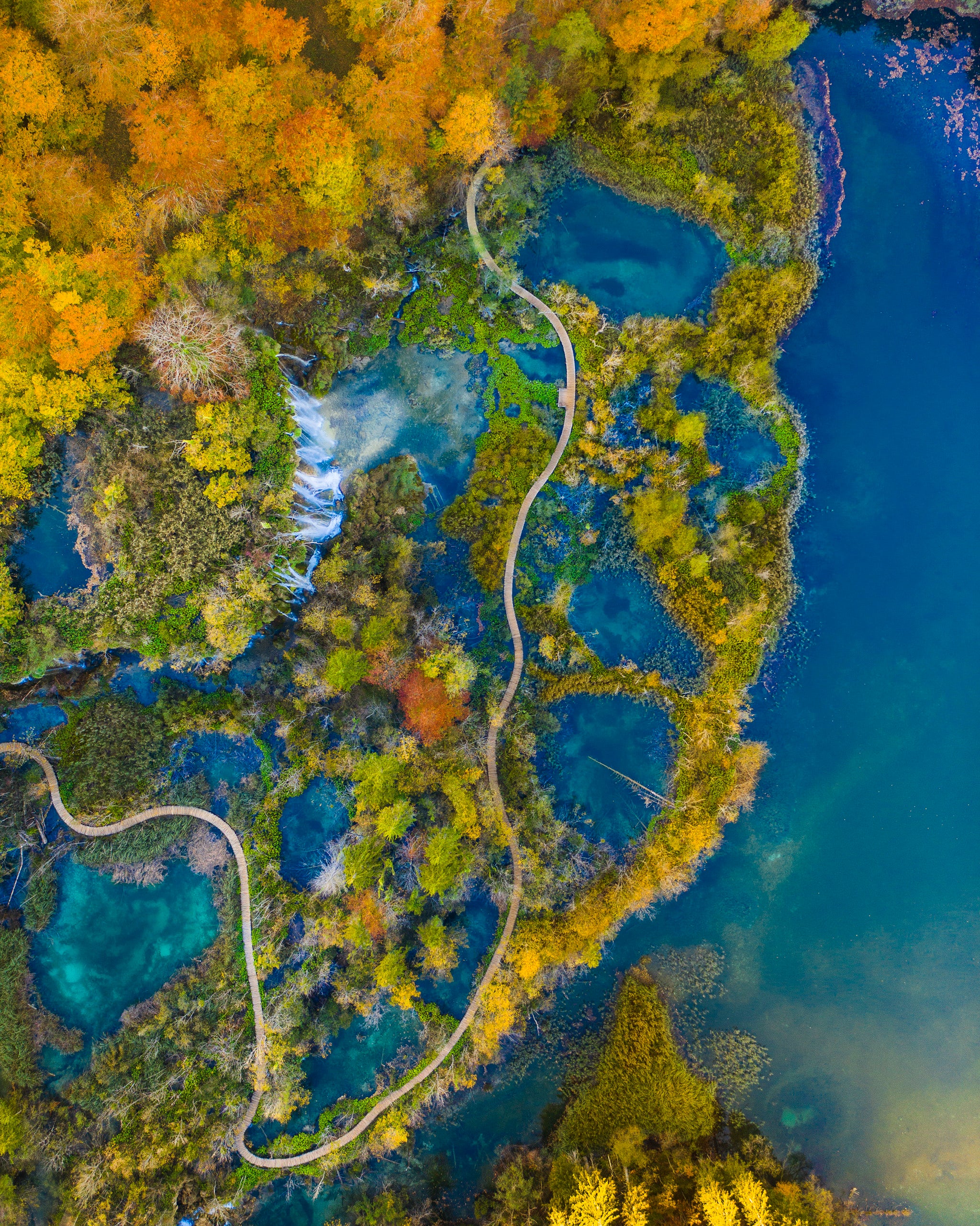 Interview with Dennis Schmelz