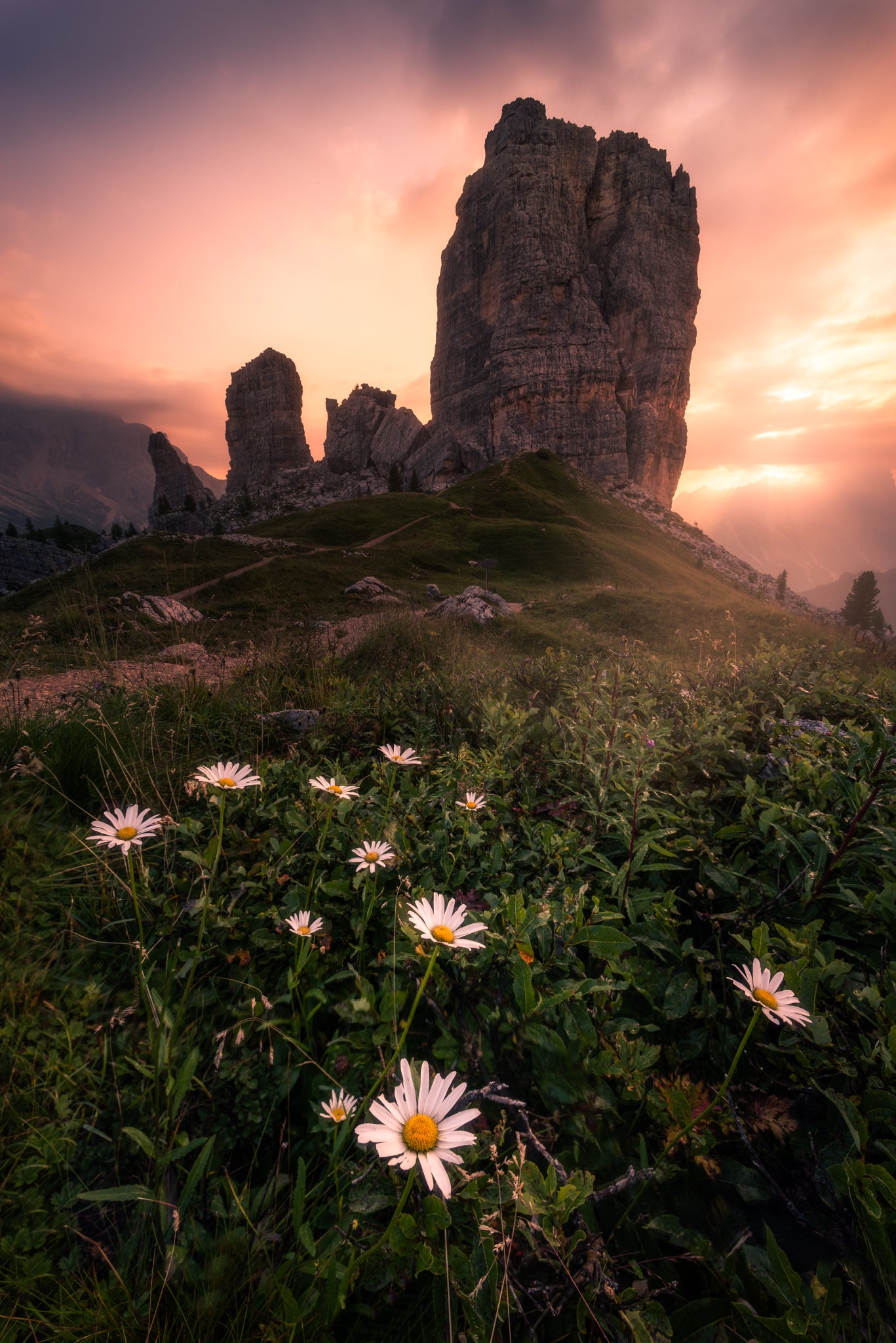 Interview with Samuel Scicluna