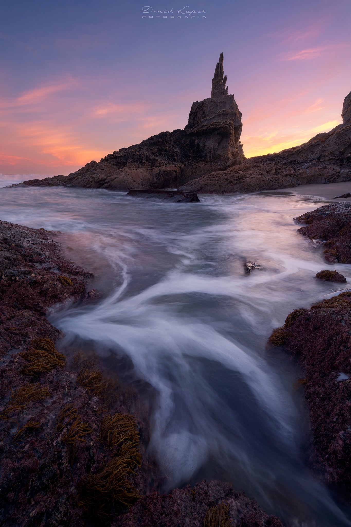 Interview with David Lopez Garcia