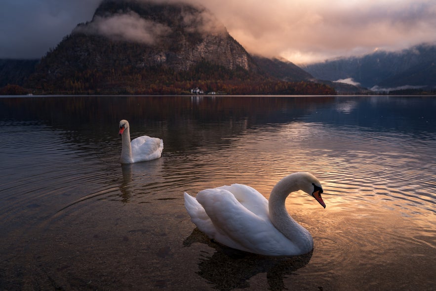 Interview with Alessandro Laurito Interview with Alessandro Laurito