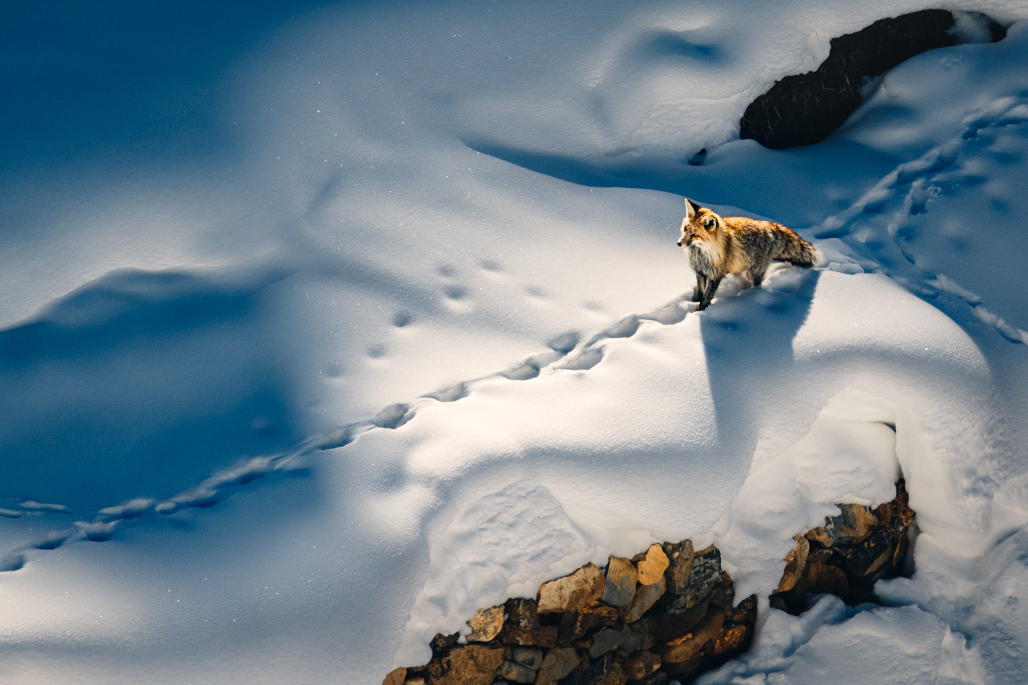 Interview with Riddhi Mukherjee