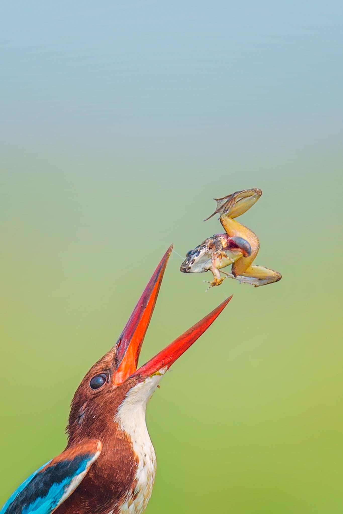 Interview with Riddhi Mukherjee