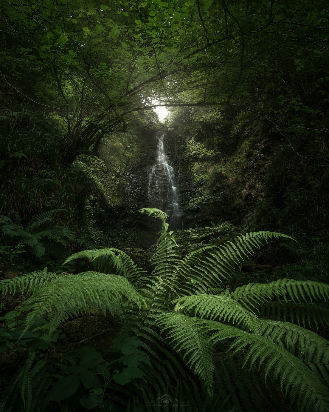 Interview with Jabi Sanz