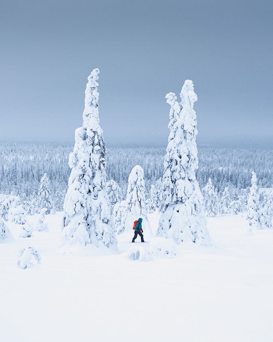 Interview with Jack Anstey Interview with Jack Anstey