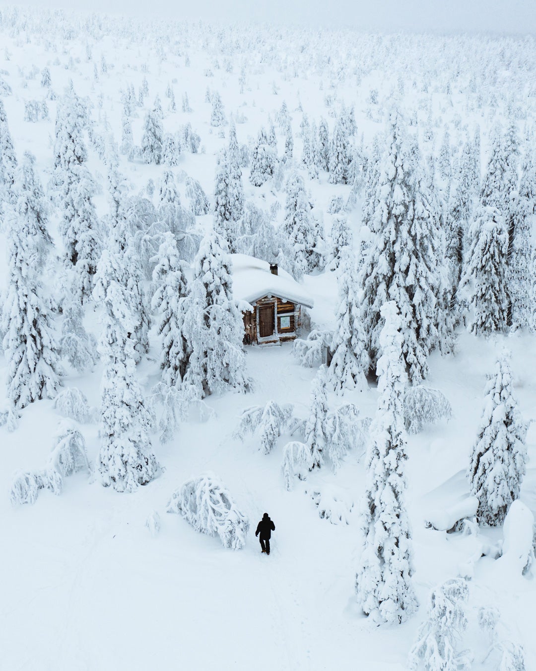 Interview with Jack Anstey Interview with Jack Anstey