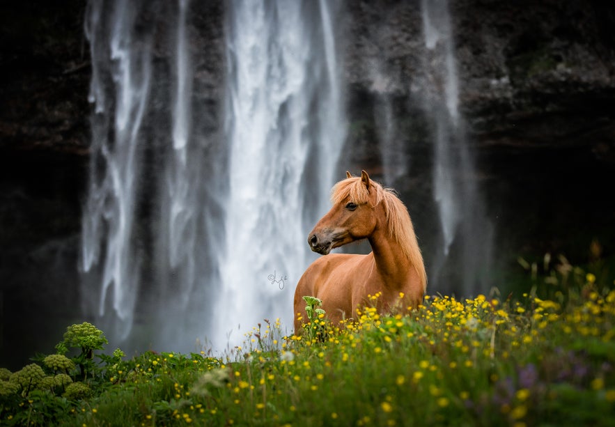 Interview with Liga Liepina Interview with Liga Liepina