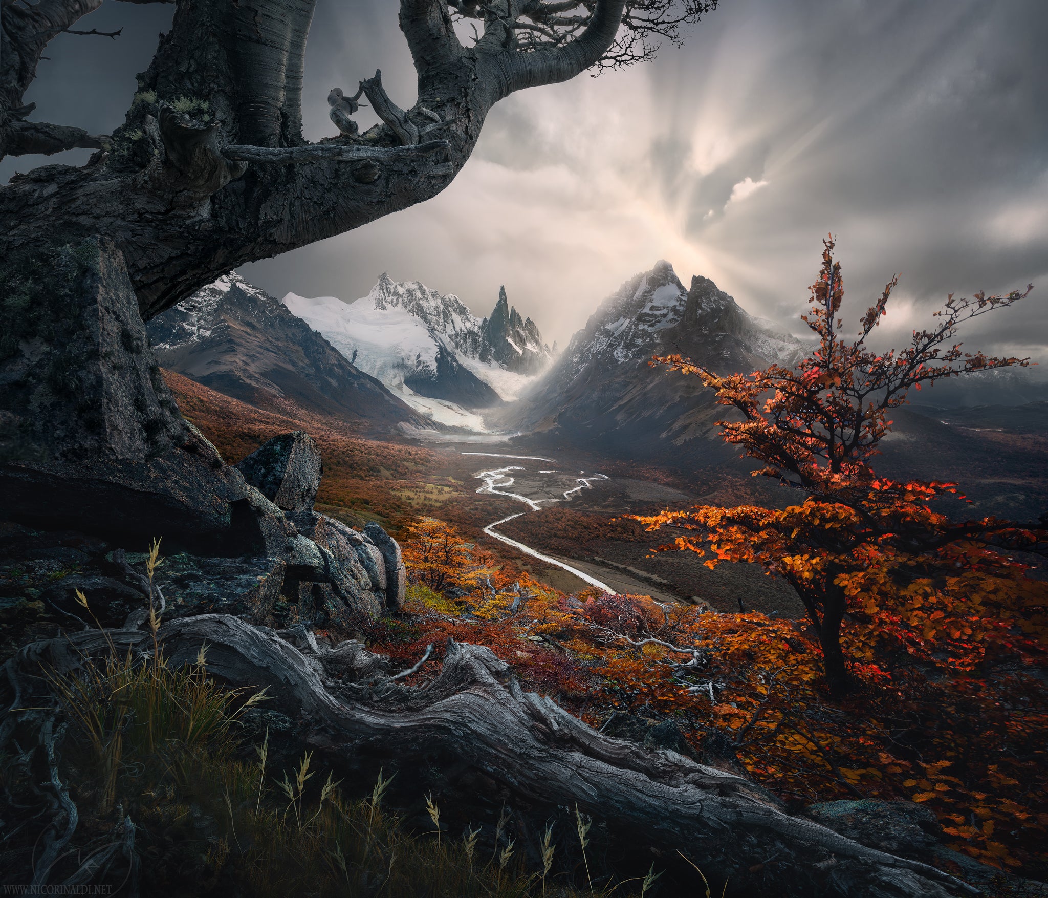 Interview with Nico Rinaldi