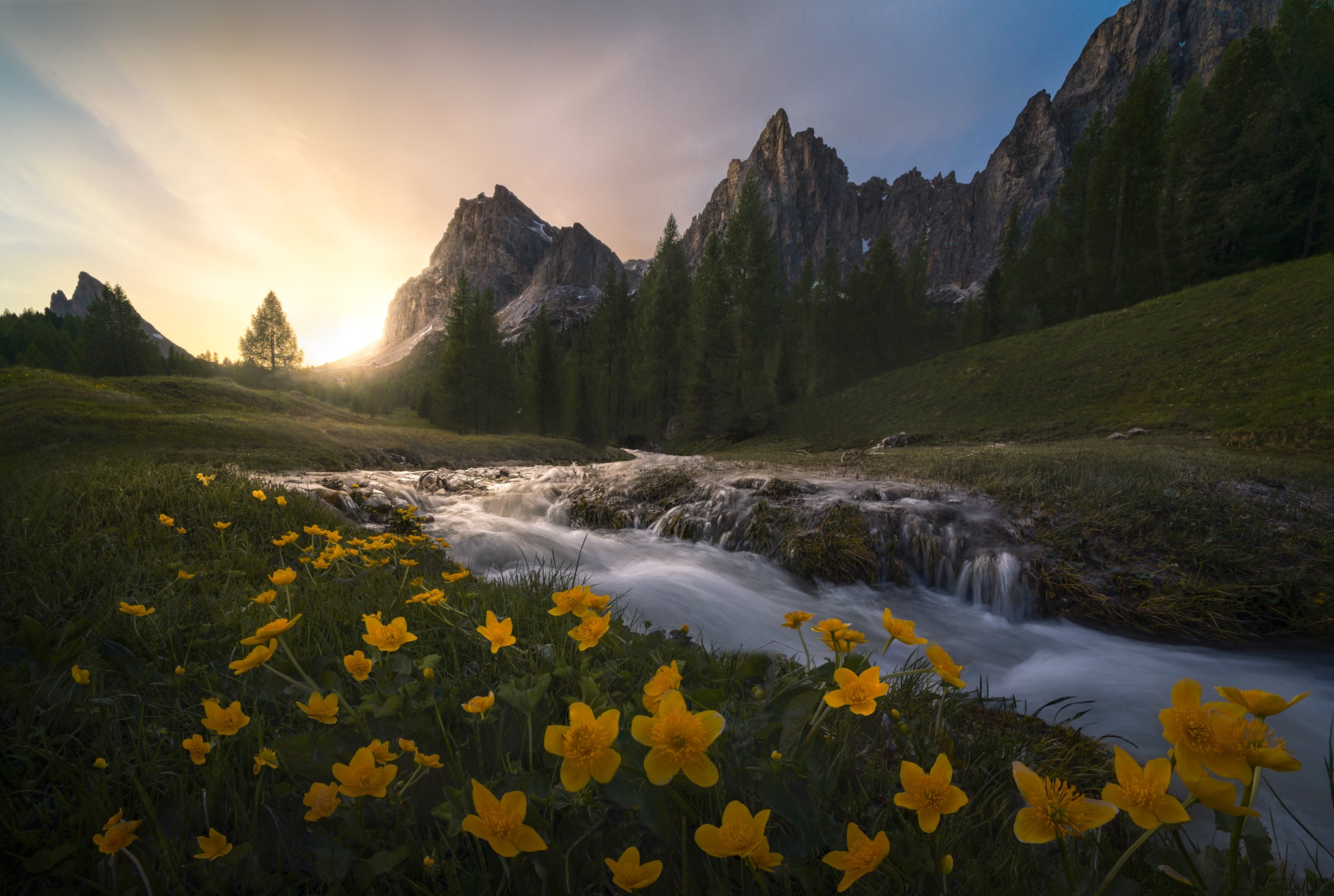 Interview with Nico Rinaldi