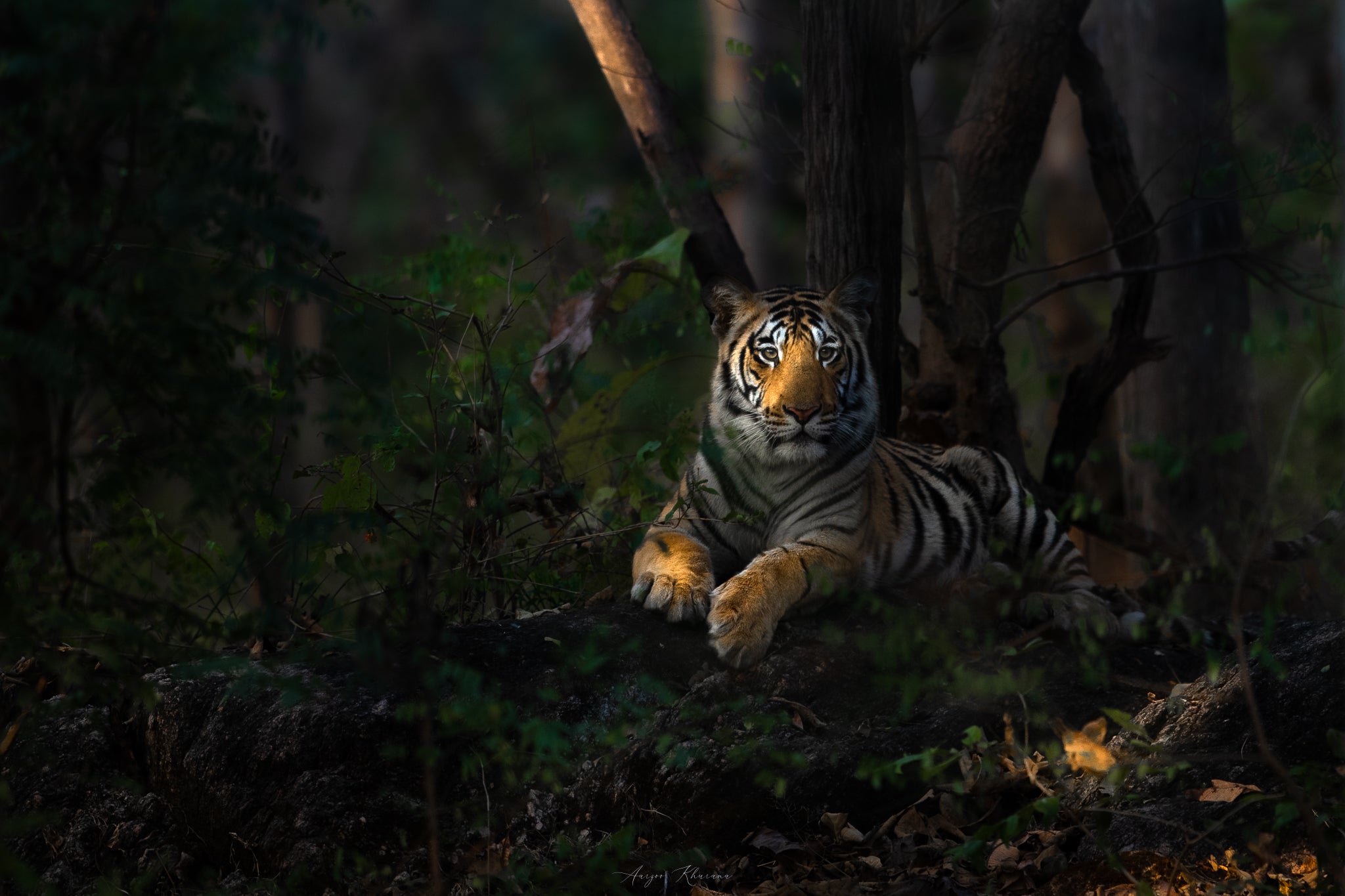 Interview with Aarzoo Khurana