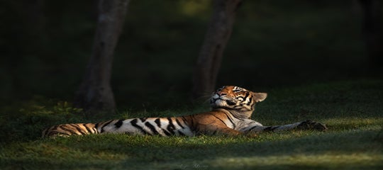 Interview-AarzooKhurana-149A7356.jpg